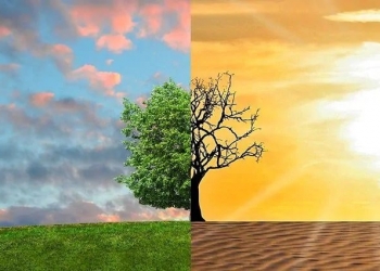 Cambiamenti Climatici