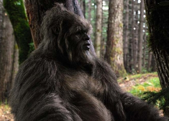 Sasquatch