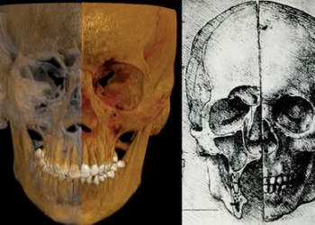 Leonardo Il Cranio